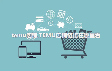 temu店铺，TEMU店铺链接在哪里看