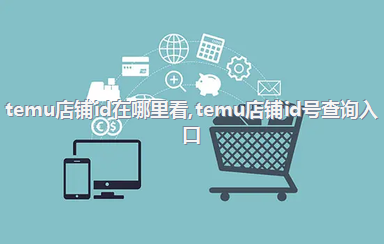 temu店铺id在哪里看，temu店铺id号查询入口