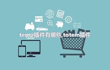 temu插件有哪些，totem插件