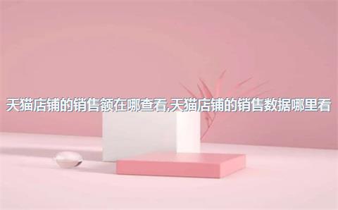 天猫店铺的销售额在哪查看，天猫店铺的销售数据哪里看